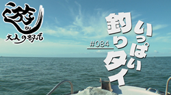 遊BU~大人の部活~ 2025/10/6 #84 いっぱい釣りタイ thumb-asobu251006