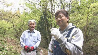 midori20260509-3