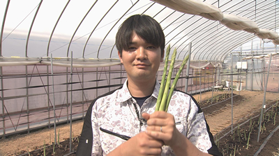 midori20260516-1
